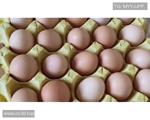 退役球星哈姆西克与妻子共同务农养鸡生活幸福鸡蛋丰收乐趣无穷